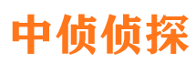 阳高找人公司